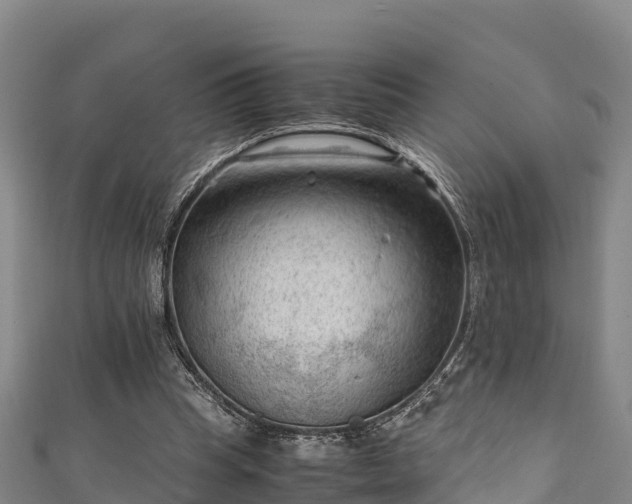 X0000111600345200907231240
