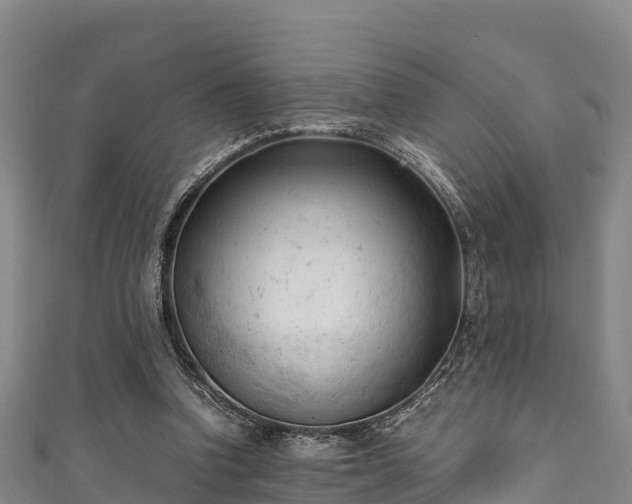 X0000111600346200907231240