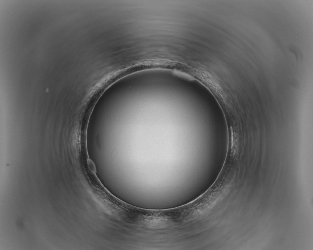 X0000111600348200907231240