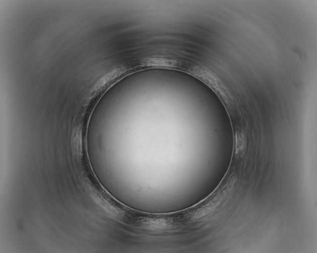 X0000111600349200907231240
