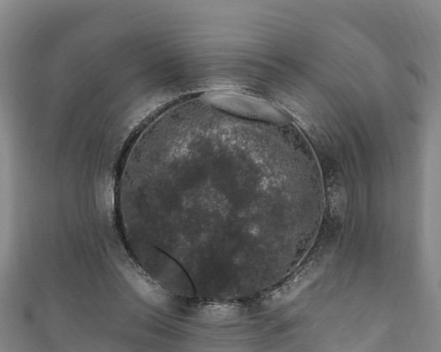 X0000111600350200907231240