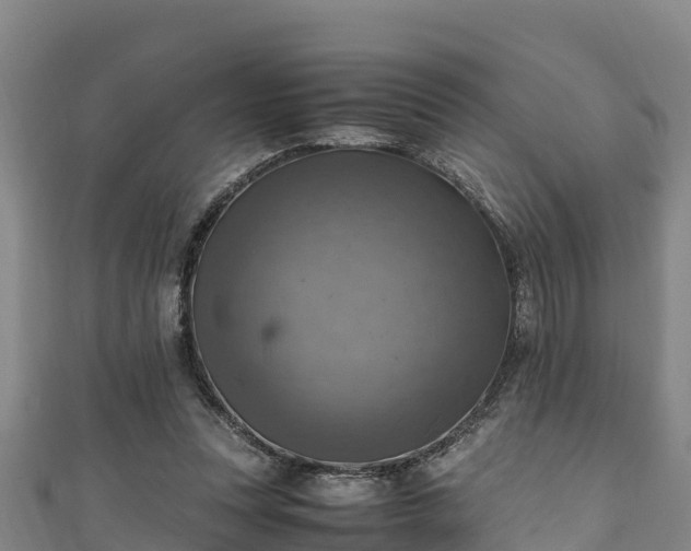 X0000111600351200907231240