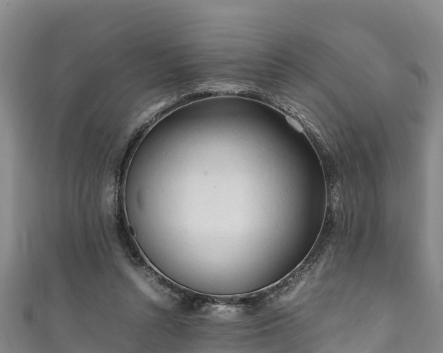 X0000111600352200907231240