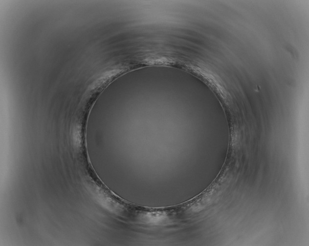 X0000111600353200907231241