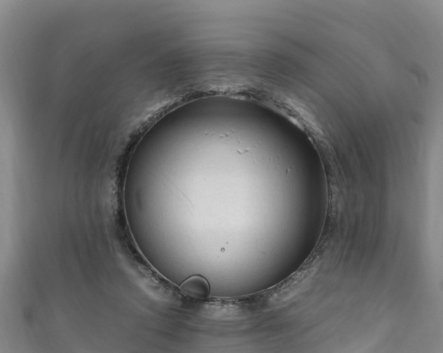 X0000111600354200907231241