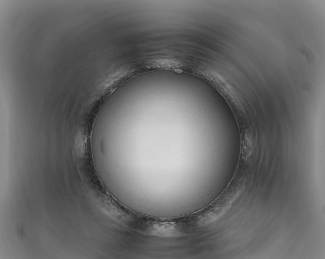 X0000111600355200907231241