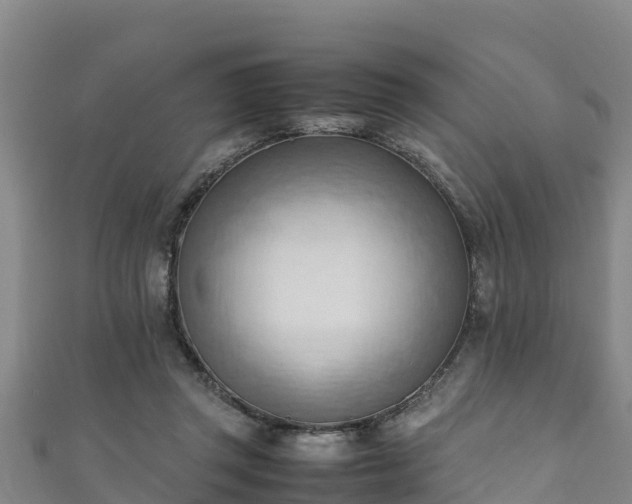 X0000111600357200907231241