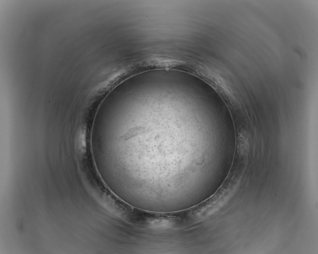 X0000111600358200907231241