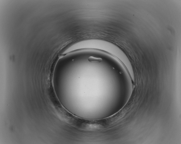 X0000111600360200907231241