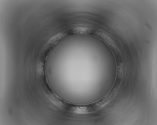 X0000111600361200907231241