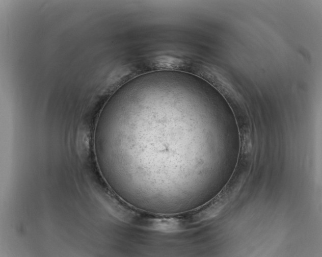 X0000111600363200907231241