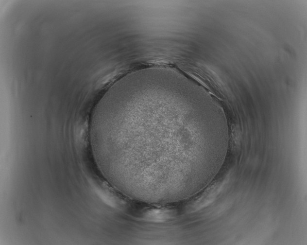 X0000111600364200907231241