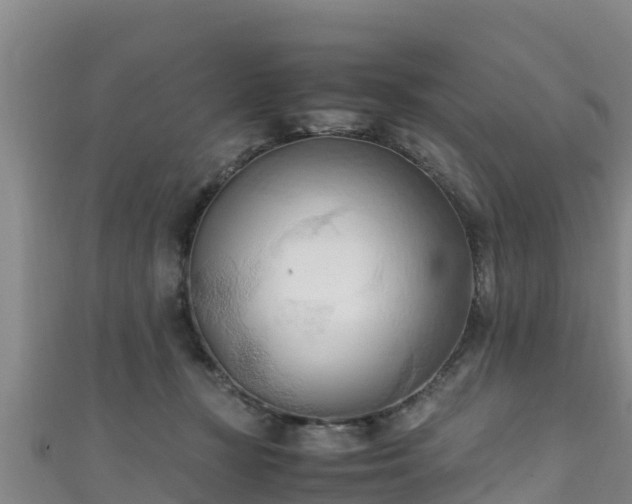 X0000111600367200907231241