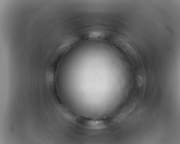 X0000111600375200907231241