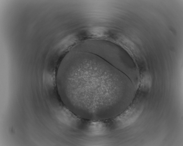 X0000111600376200907231241