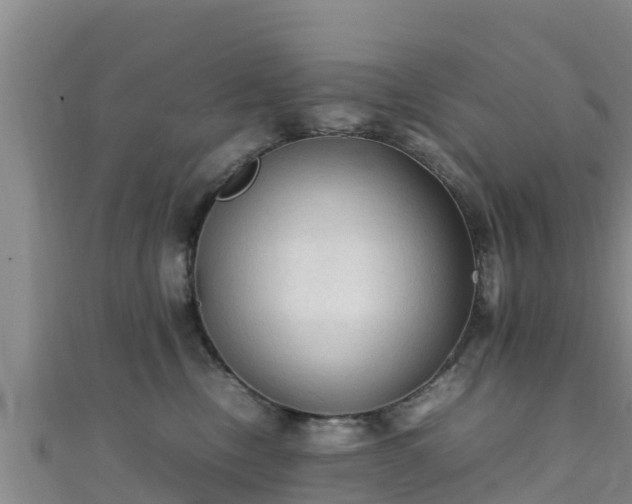 X0000111600378200907231241