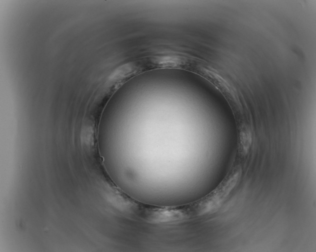 X0000111600379200907231241