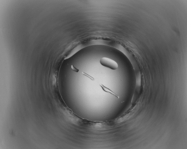 X0000111600382200907231241