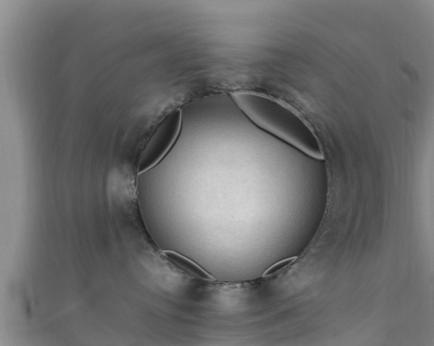 X0000111600384200907231241