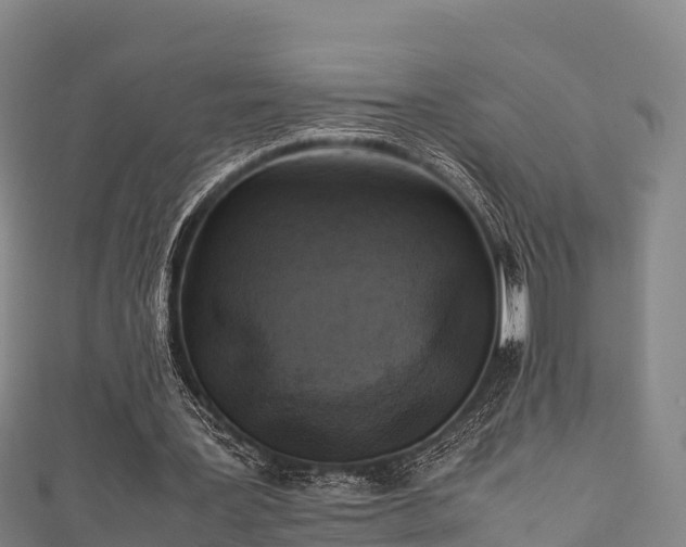 X0000111600387200907231240