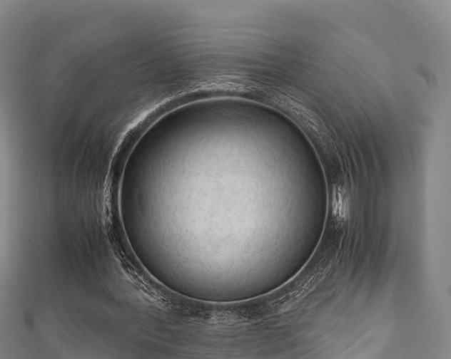 X0000111600388200907231240