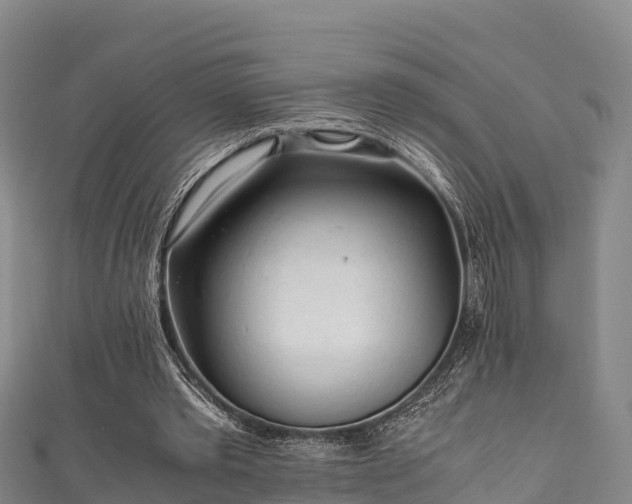 X0000111600389200907231240