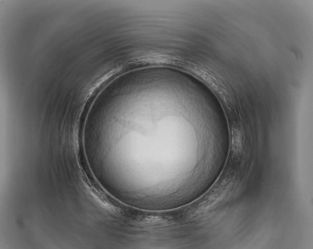 X0000111600390200907231240