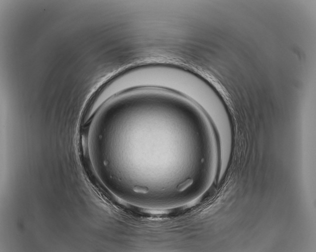 X0000111600391200907231240