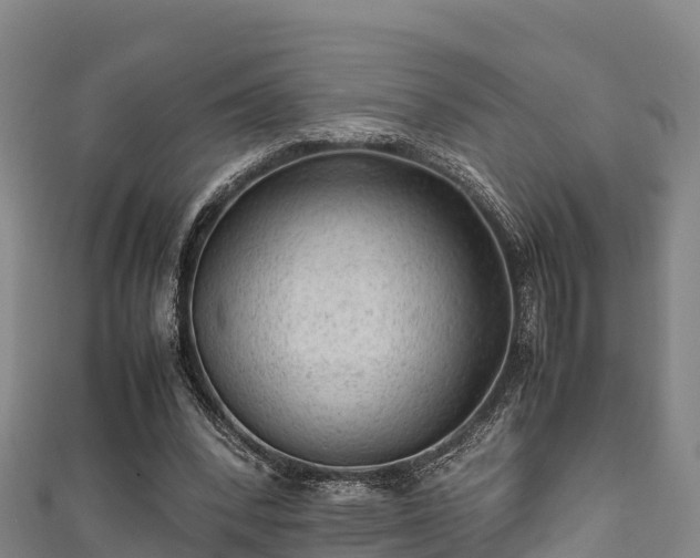 X0000111600392200907231240