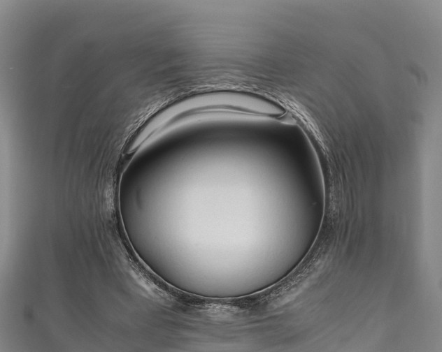X0000111600393200907231240