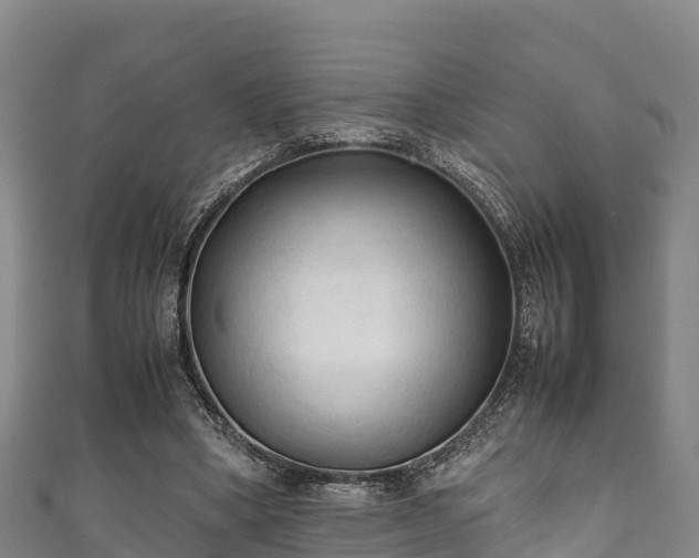X0000111600394200907231240