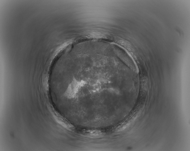 X0000111600395200907231240