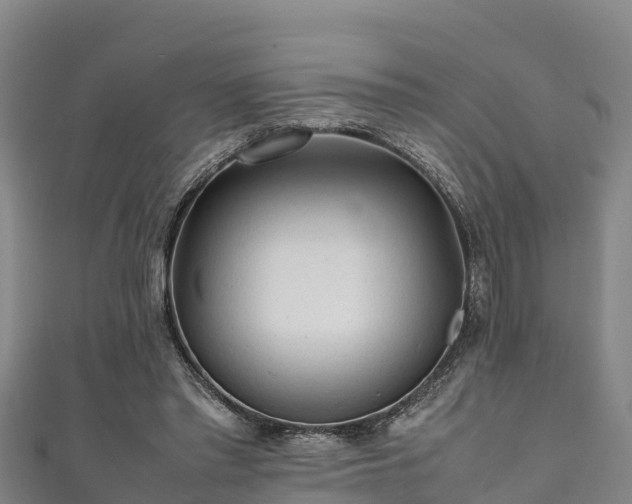 X0000111600397200907231240