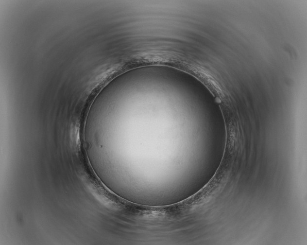 X0000111600398200907231240