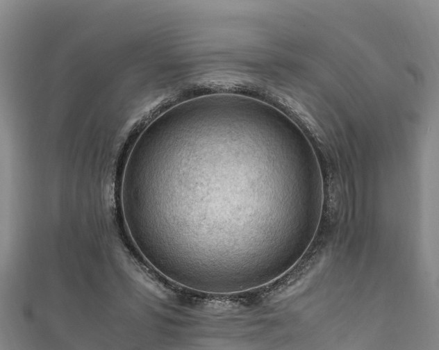 X0000111600399200907231240