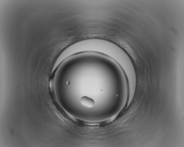 X0000111600401200907231240