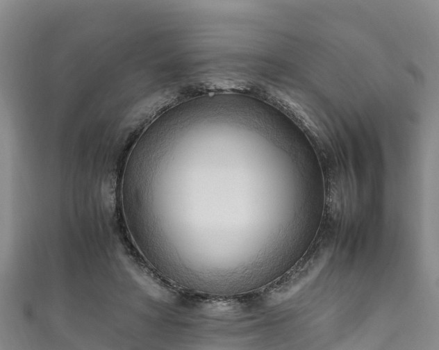X0000111600402200907231240