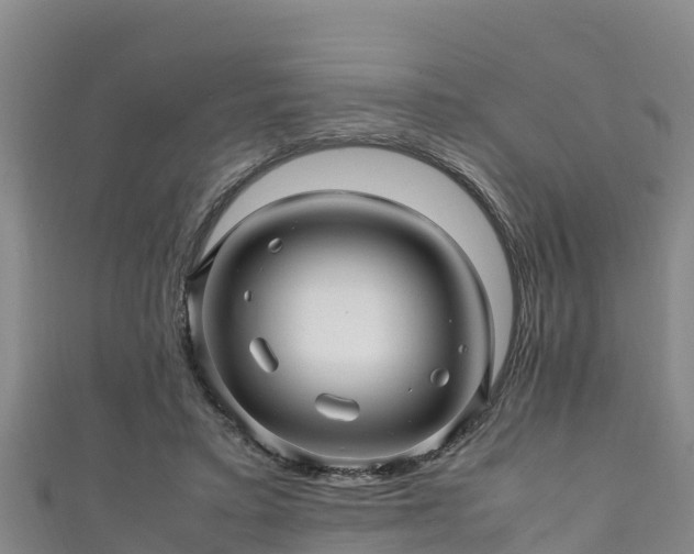 X0000111600403200907231240