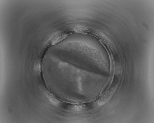 X0000111600405200907231240