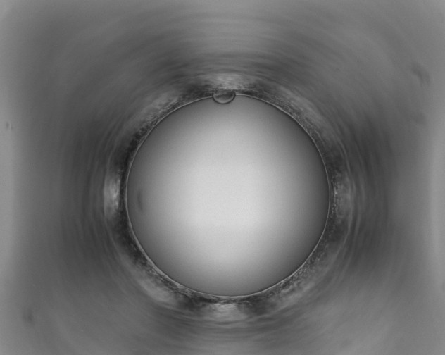 X0000111600406200907231240