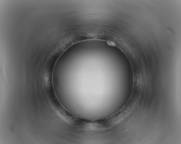 X0000111600408200907231240