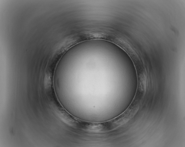 X0000111600410200907231240
