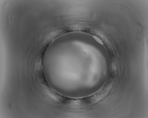 X0000111600411200907231240