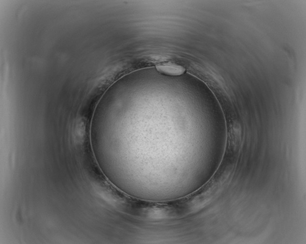 X0000111600412200907231240