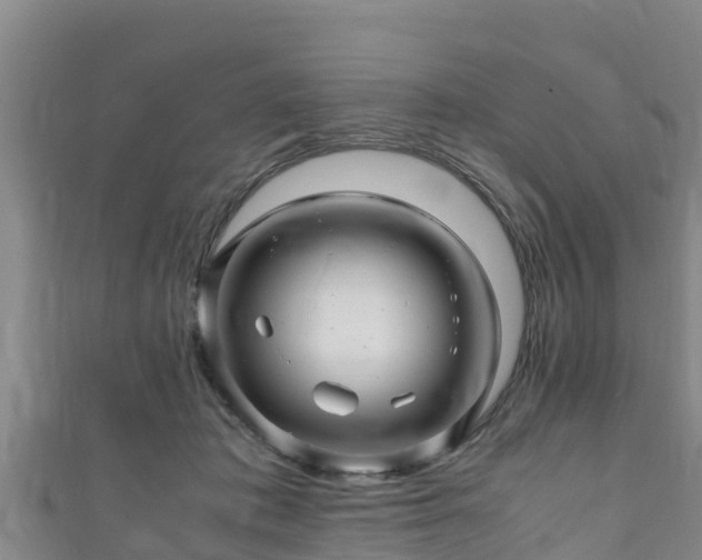 X0000111600413200907231240