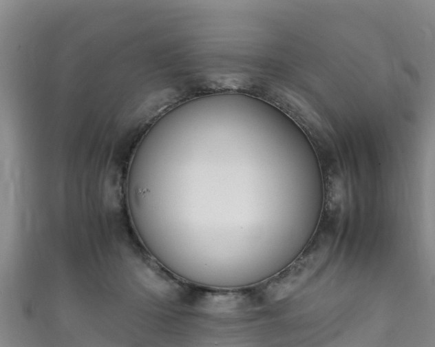 X0000111600414200907231240