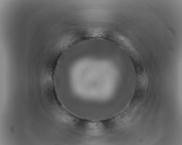 X0000111600415200907231240