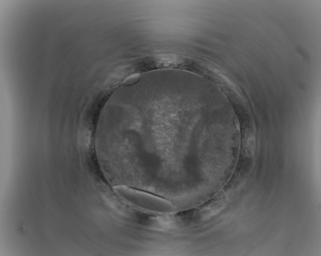 X0000111600417200907231240