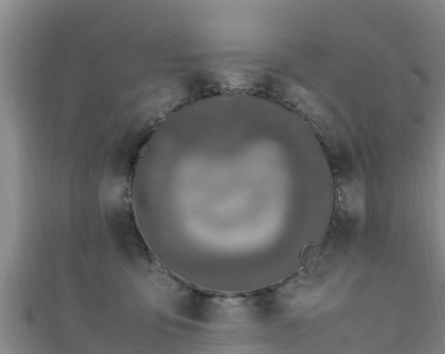 X0000111600419200907231240
