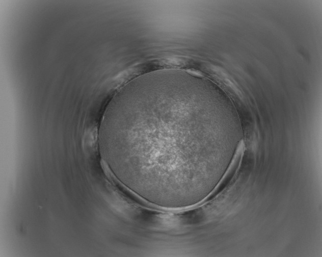 X0000111600425200907231240